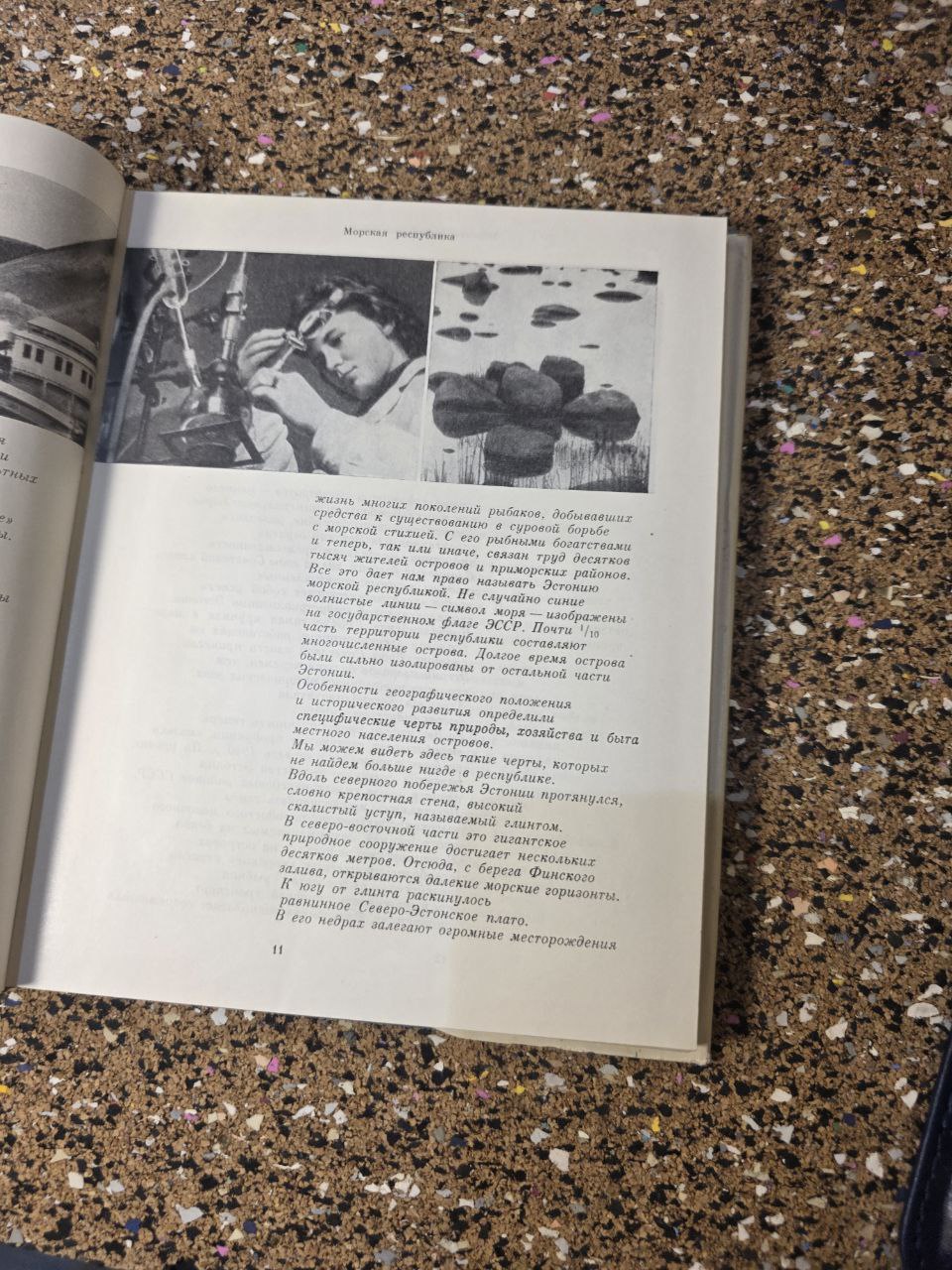 1967 «Эстония» (Советский Союз) - Издательство «Мысль» | Vintage USSR Travel/Geography Book on Estonia