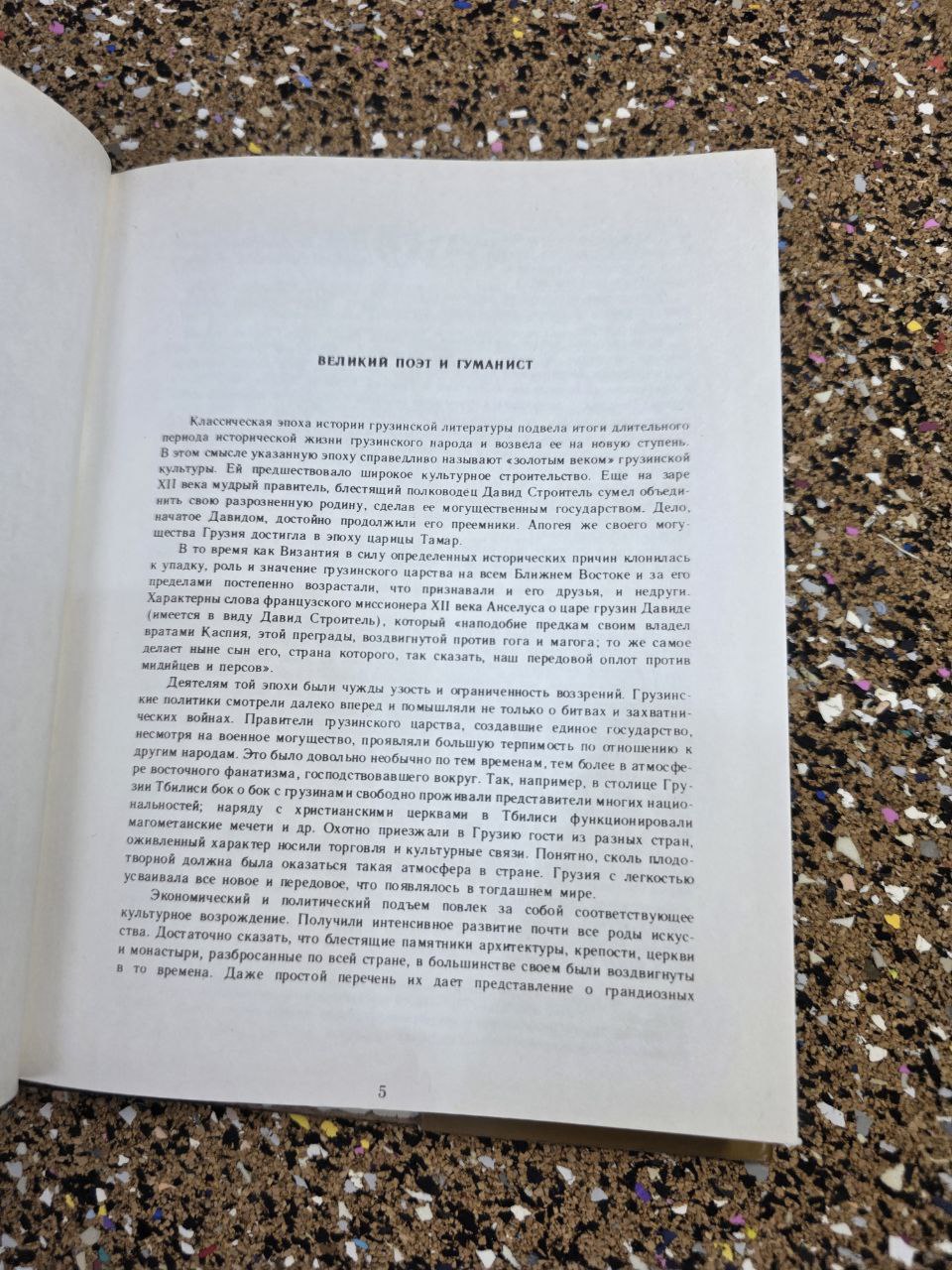 Shota Rustaveli The Knight in the Panther's Skin Russian Hardcover Soviet Book