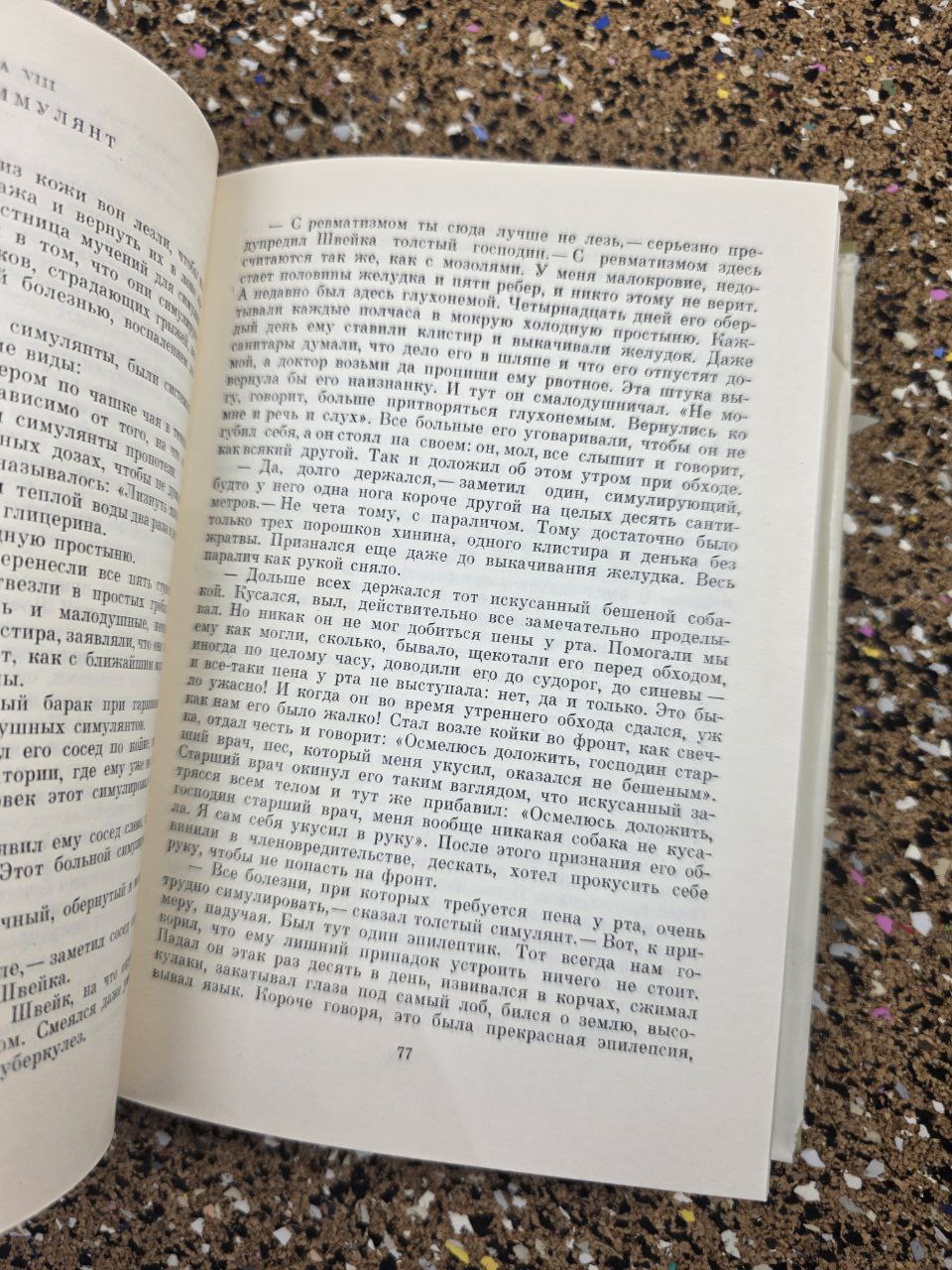 The Fates of the Good Soldier Švejk — Vintage Soviet Russian Edition