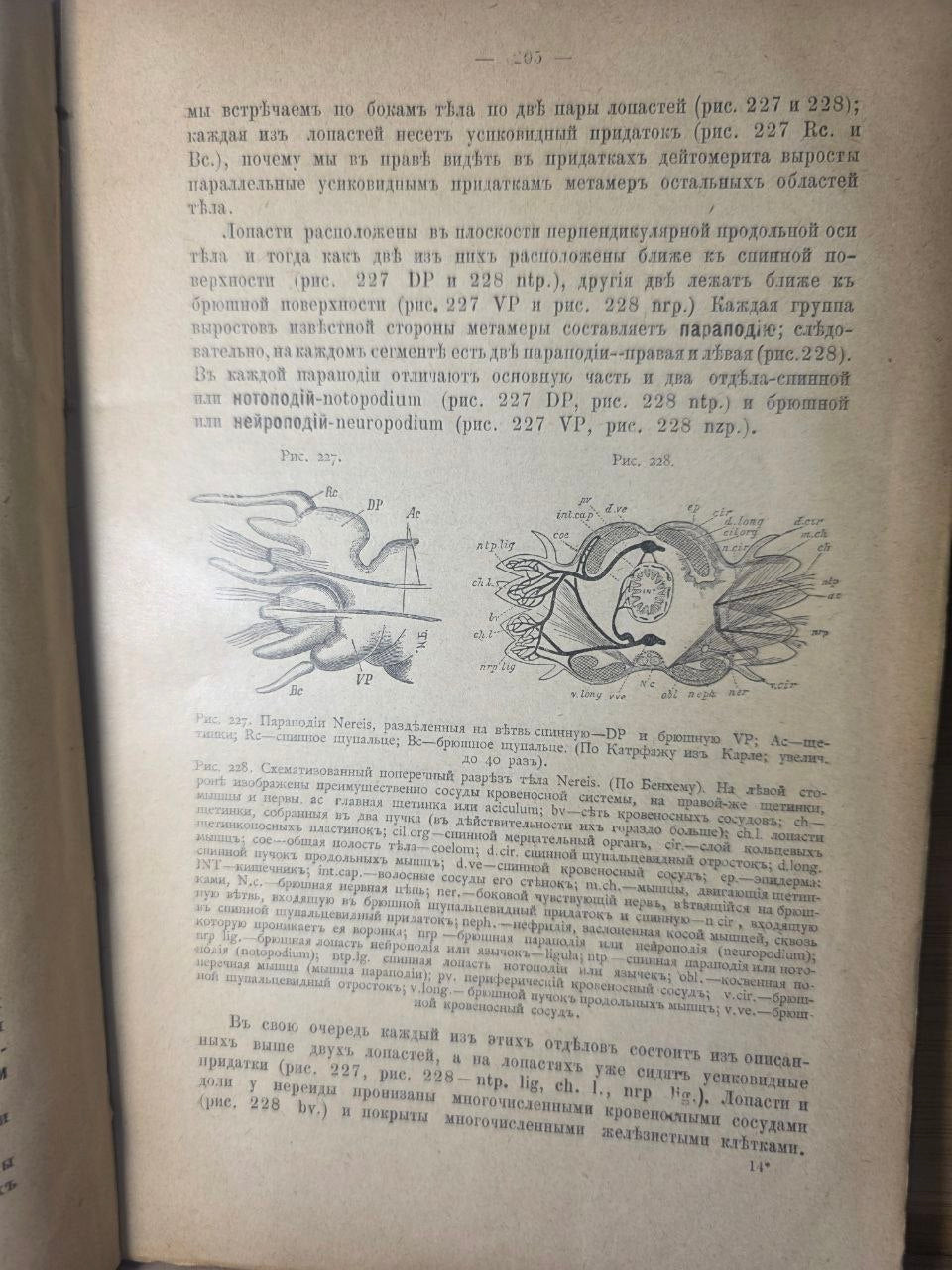 Course of Zoology — Volume II by Nikolai Zograf (1898)