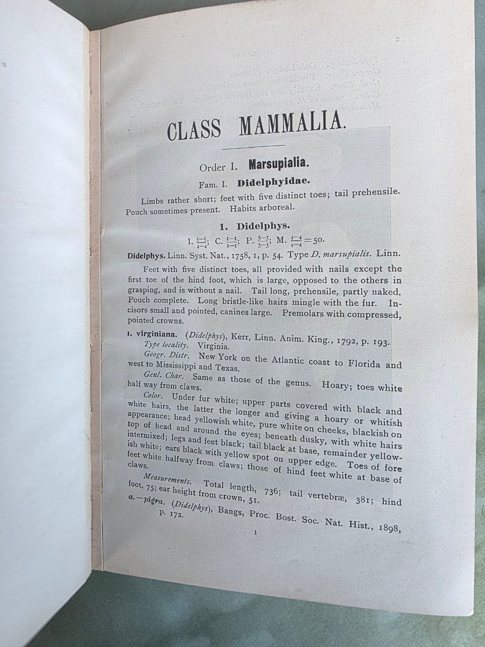 Daniel Giraud Elliot – A Synopsis of the Mammals of North America and the Adjacent Seas (1901) First Edition