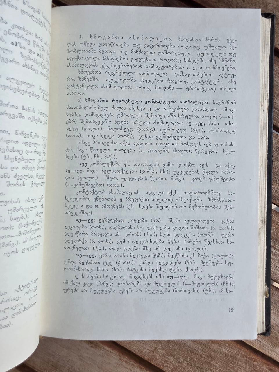 Rare 1978 Soviet Georgian Book: Algeti Valley Dialect – Tamar Salaridze | Tsar to Soviet Books