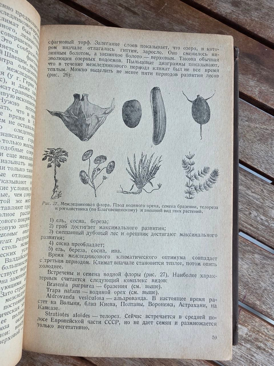 Pre-WWII 1939 Soviet Geology Book: Quaternary Geology – Gerasimov & Markov | Tsar to Soviet Books