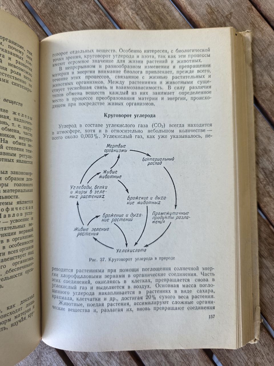 Введение в биологию I 1951 USSR
