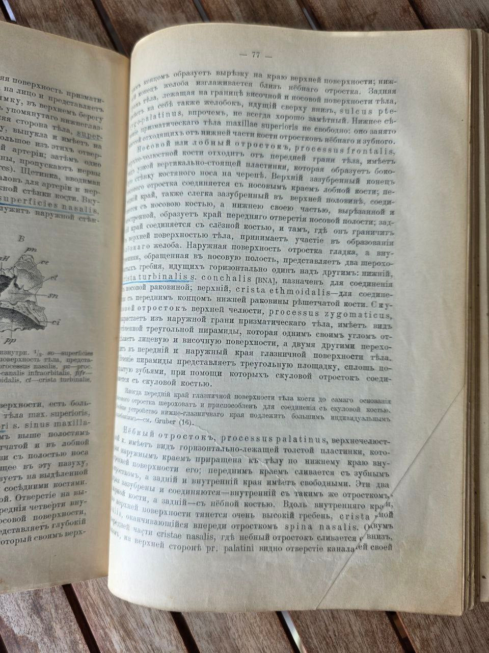 Antique Russian Medical Book – Руководство Описательной Анатомии Человека
