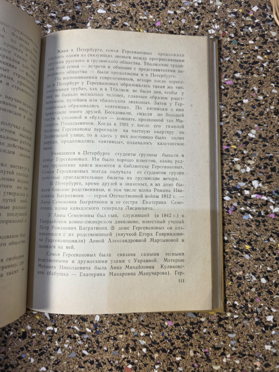 RARE 1979 BOOK: Georgian Contribution to Russian Life (19th Century)