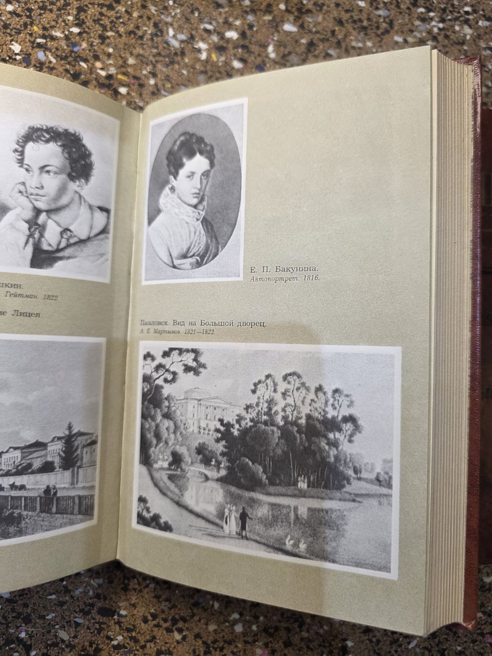 Alexander Pushkin Life 2 Vol Set 1988 Russian Book - Пушкин