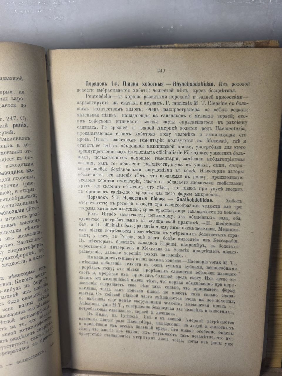 Course of Zoology — Volume II by Nikolai Zograf (1898)
