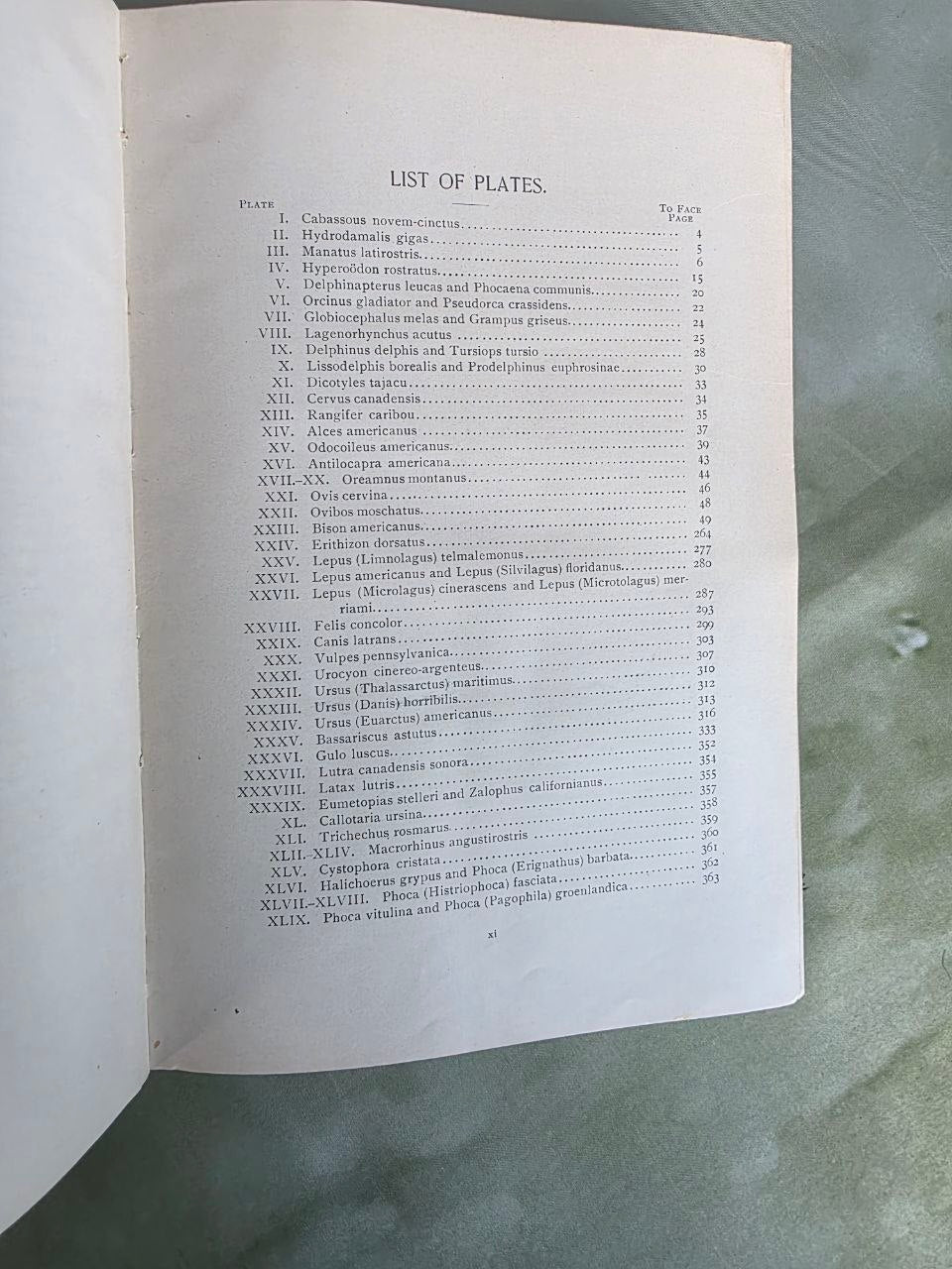 Daniel Giraud Elliot – A Synopsis of the Mammals of North America and the Adjacent Seas (1901) First Edition