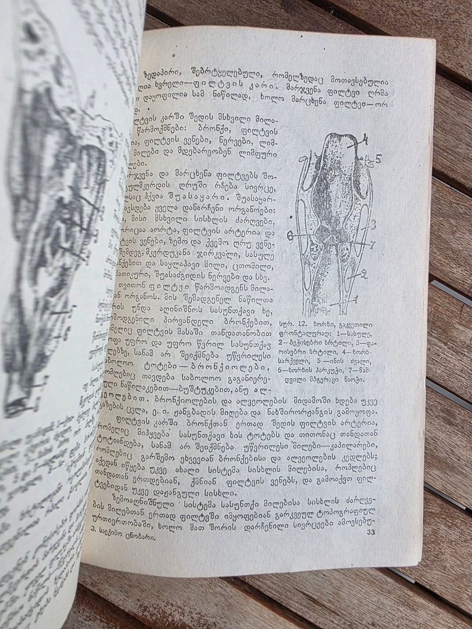 Rare 1950 Soviet Book: Family Medical Guide (Sakmedgami Tbilisi) | Tsar to Soviet Books