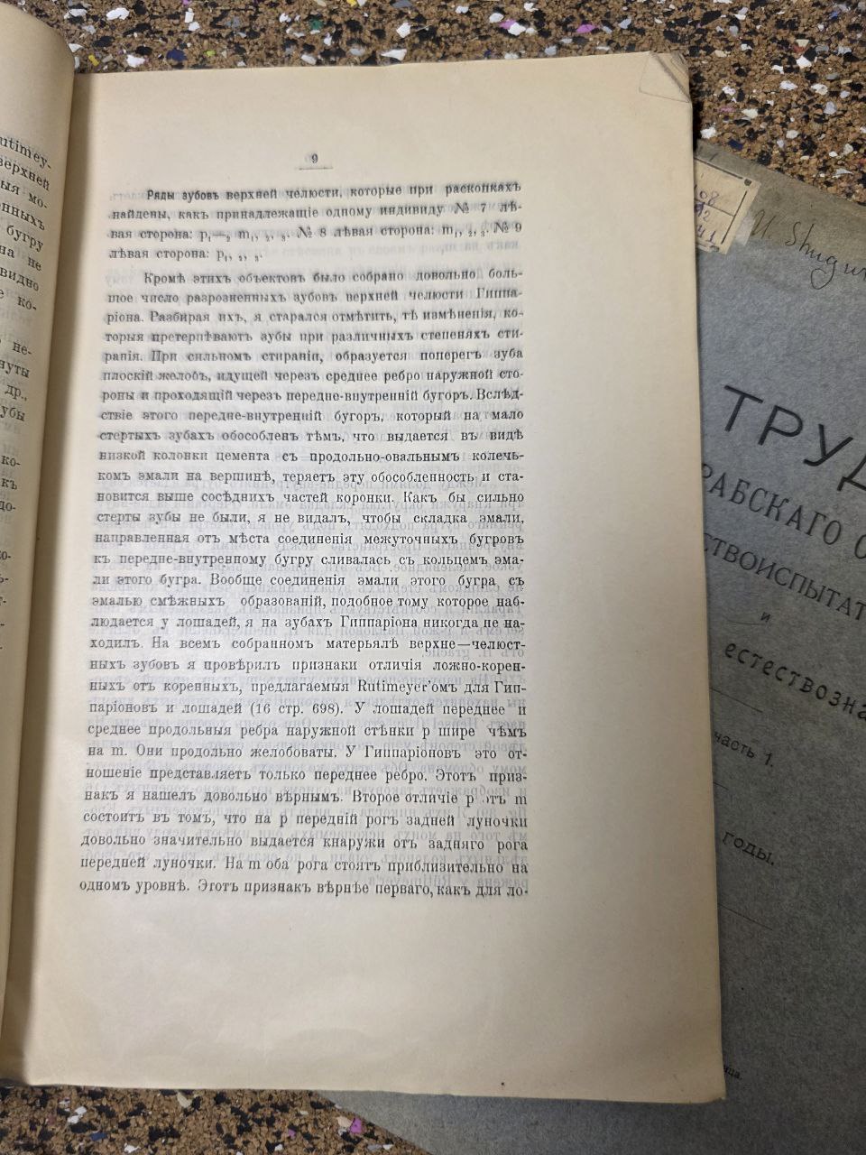 Rare Antique Volumes: Proceedings of the Bessarabian Society of Naturalists
