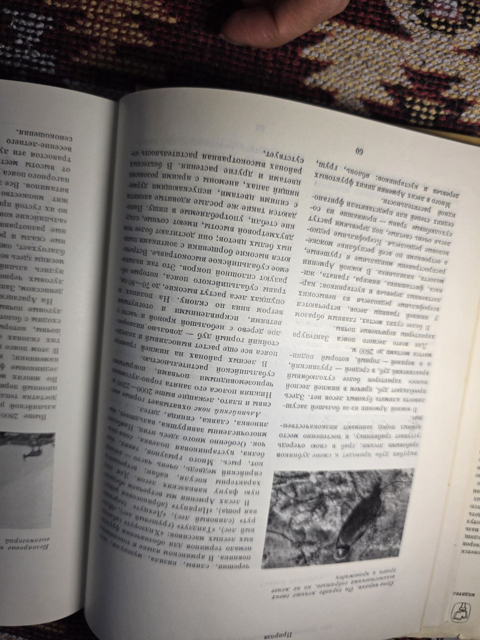 Soviet Union Armenia Vintage Book 1966 USSR I Армения СССР