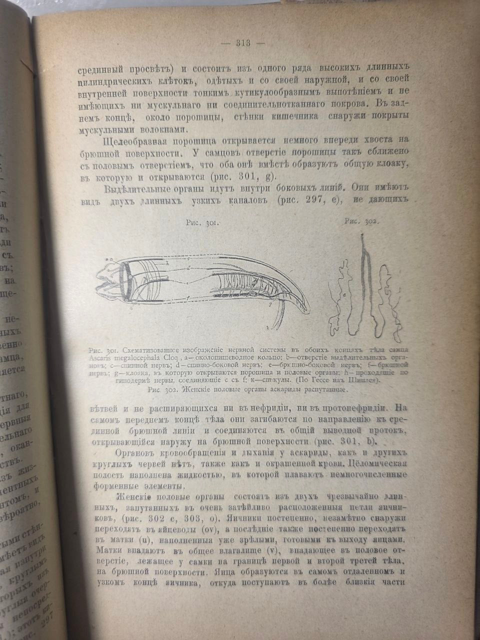 Course of Zoology — Volume II by Nikolai Zograf (1898)