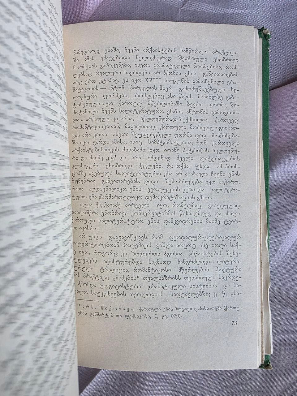 1971 Shota Dzidziguri – Linguistic Heritage of Georgian Classics | Rare Soviet Georgian Philology Book