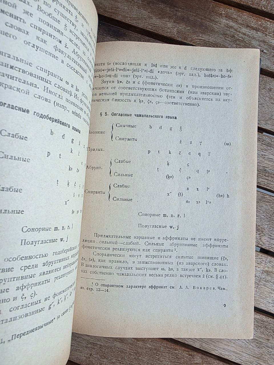Rare 1964 Soviet Linguistics Book: Consonantism of Andi Languages – T.E. Gudava (Ed. Chikobava) | Tsar to Soviet Books