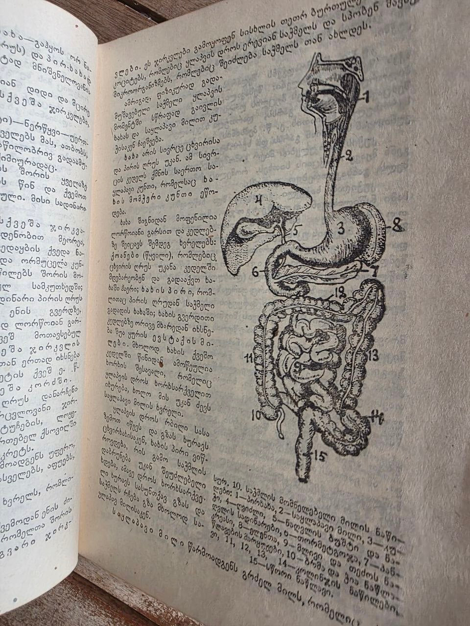 Rare 1950 Soviet Book: Family Medical Guide (Sakmedgami Tbilisi) | Tsar to Soviet Books