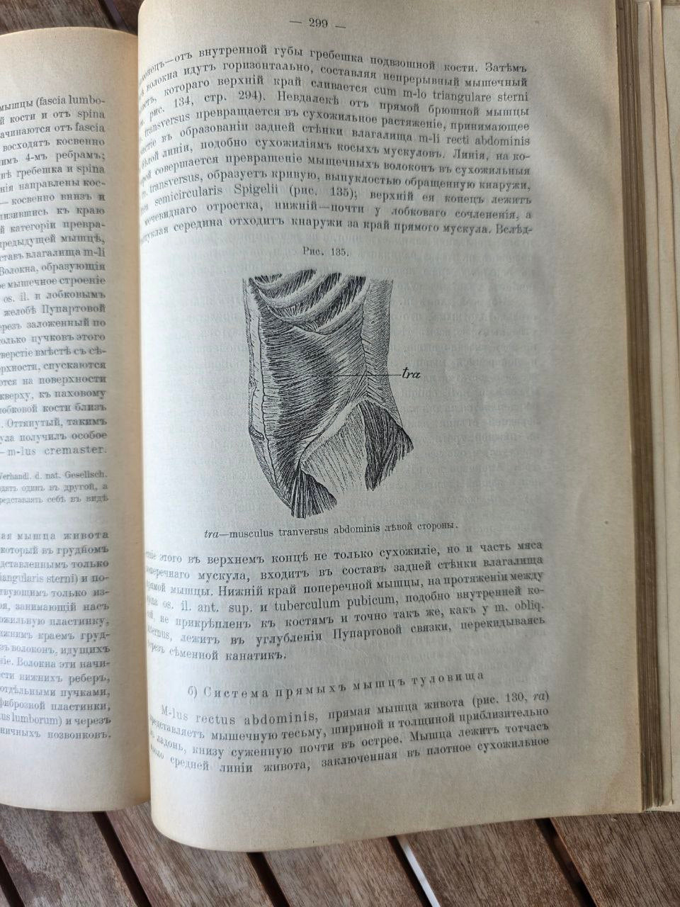 Antique Russian Medical Book – Руководство Описательной Анатомии Человека