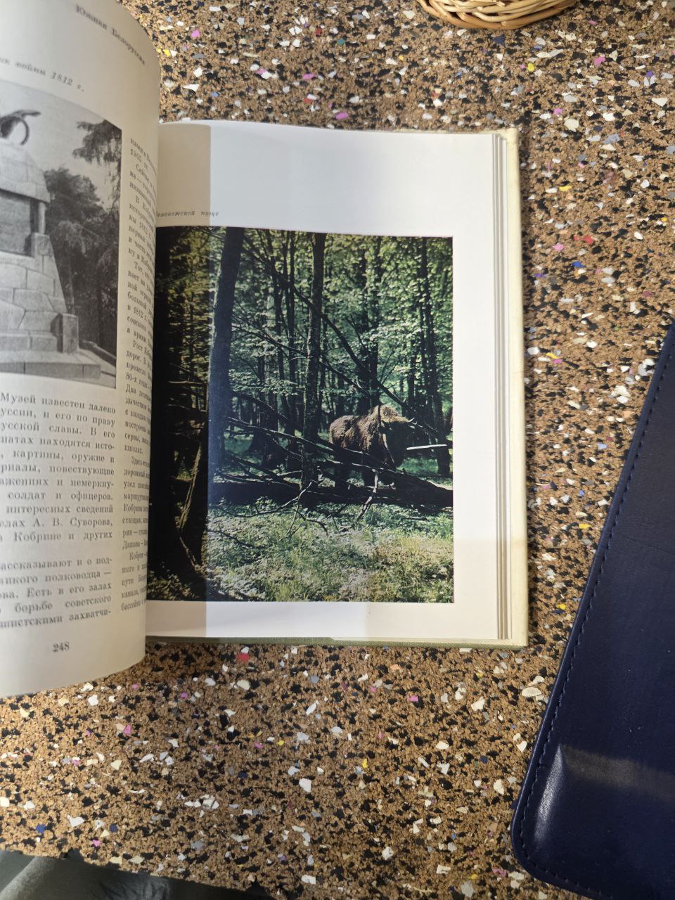 1970s «Белоруссия» - Belorussia | Vintage USSR Book