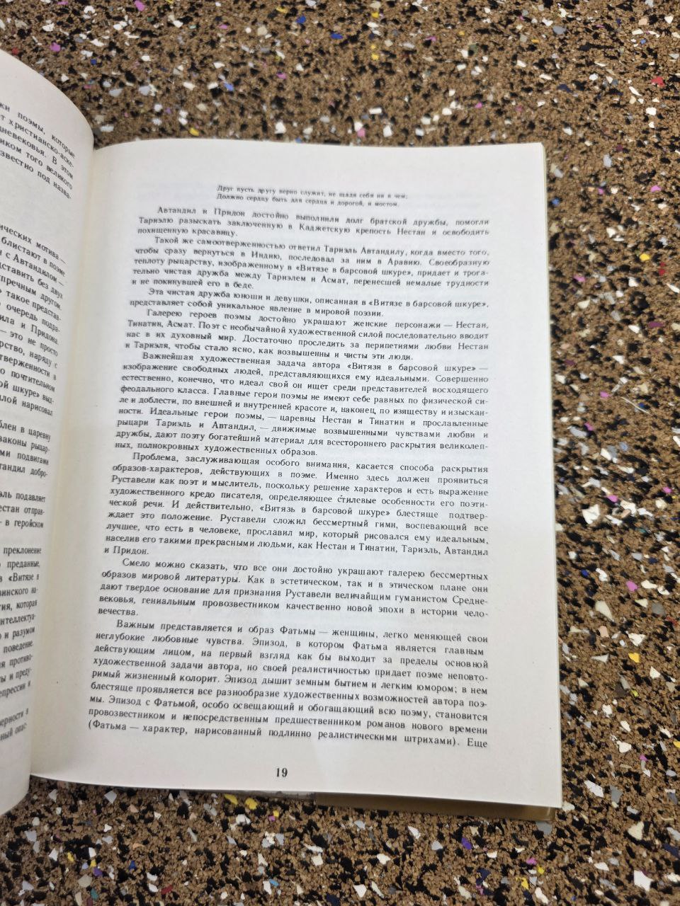 Shota Rustaveli The Knight in the Panther's Skin Russian Hardcover Soviet Book