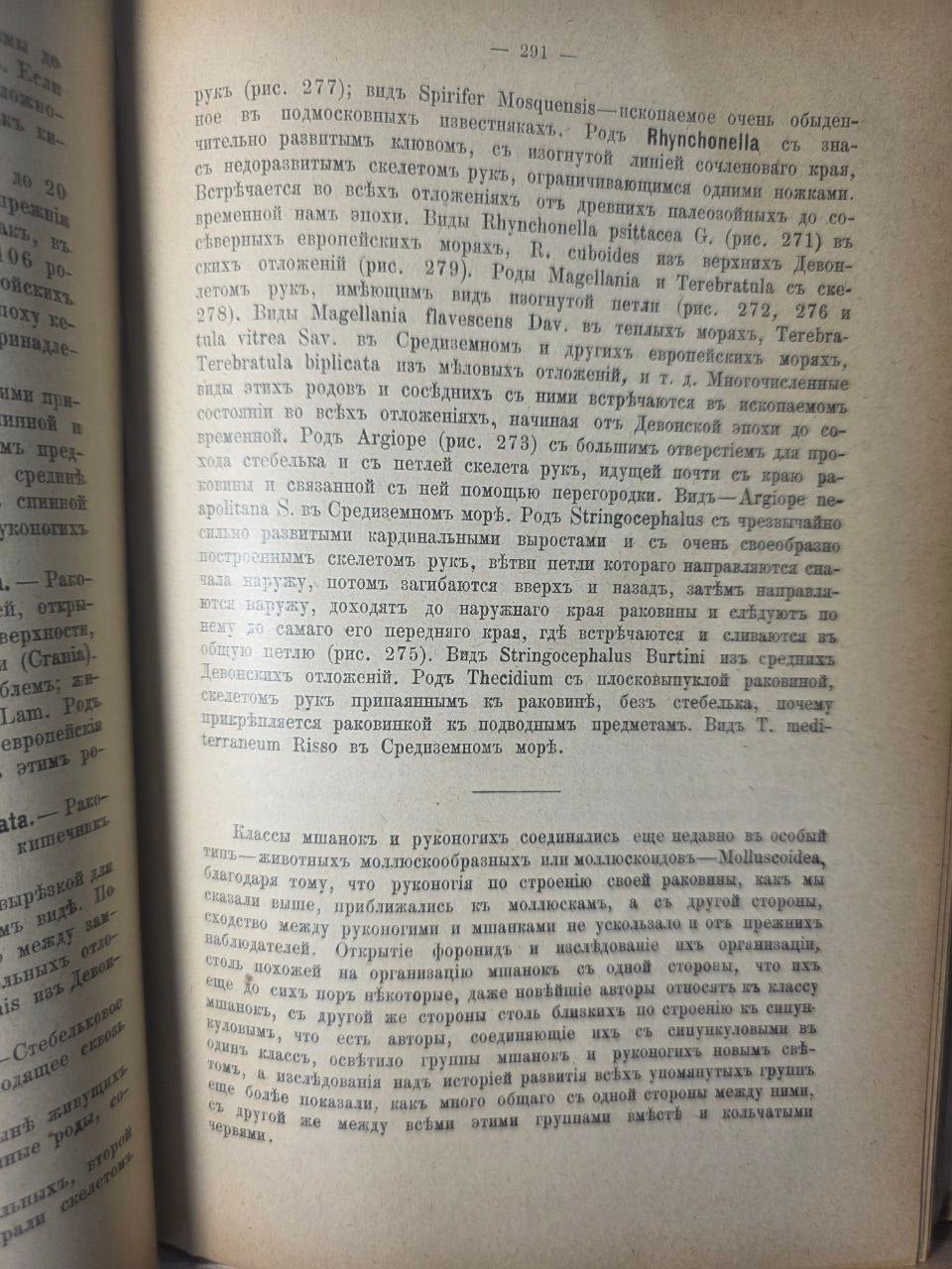 Course of Zoology — Volume II by Nikolai Zograf (1898)