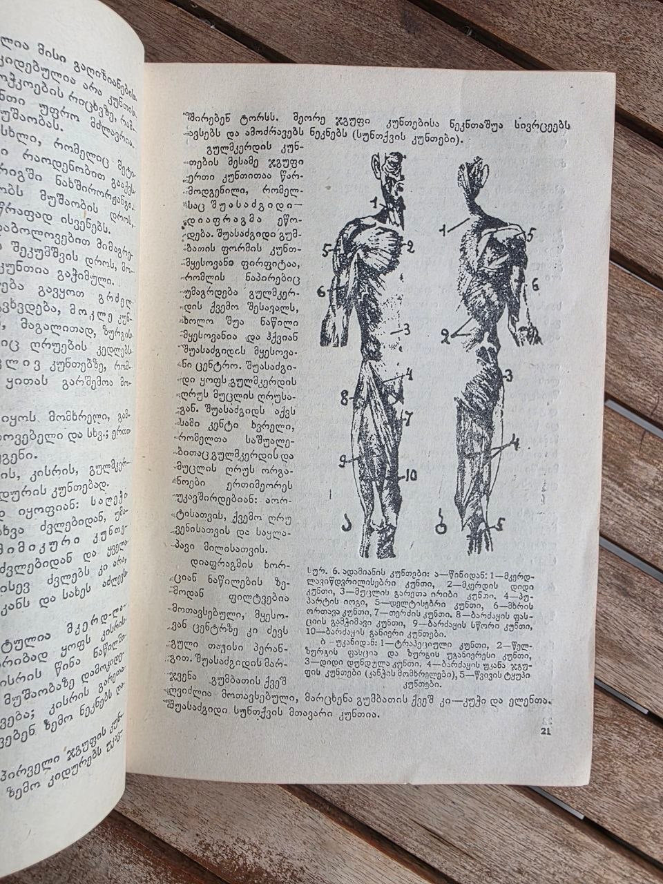 Rare 1950 Soviet Book: Family Medical Guide (Sakmedgami Tbilisi) | Tsar to Soviet Books