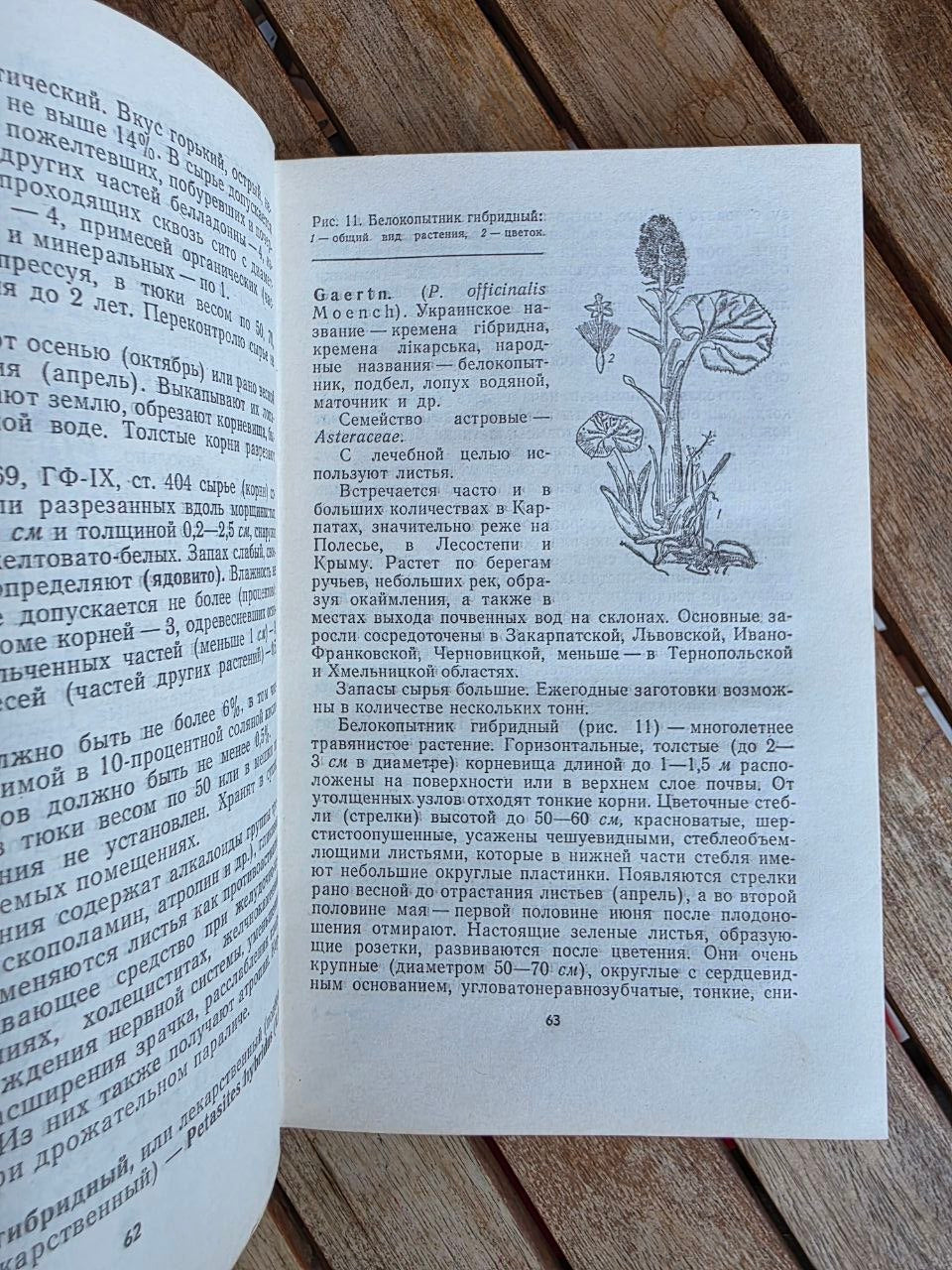 Vintage 1975 Soviet Book: Medicinal Plants of Ukraine – D. S. Ivashin | Tsar to Soviet Books
