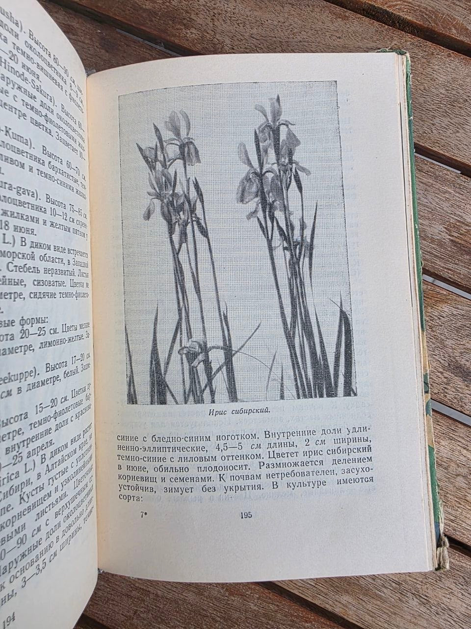 Vintage 1964 Soviet Book: Flowers (Kazakhstan Flora) | Tsar to Soviet Books